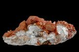 Natural, Red Quartz Crystal Cluster - Morocco #161078-1